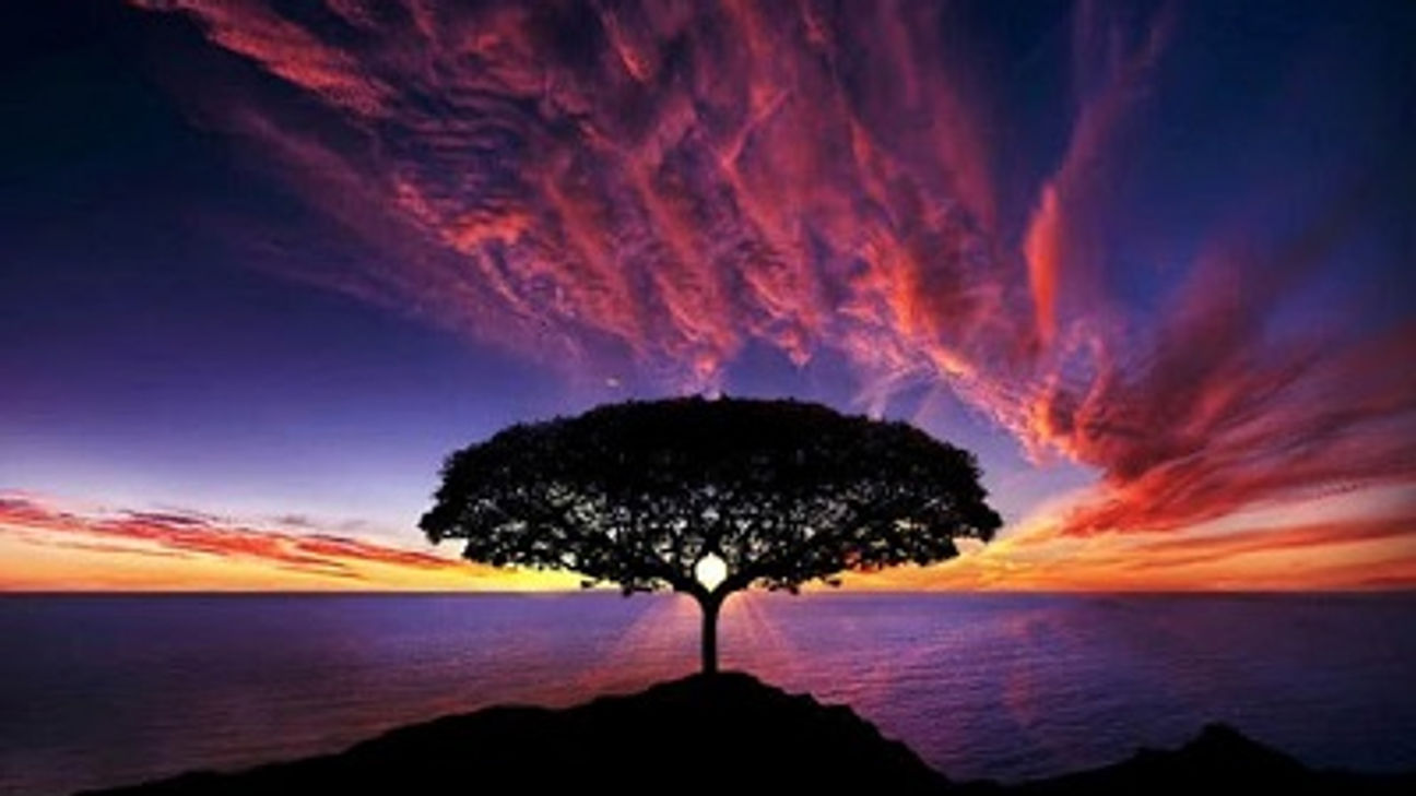 Upshifting Body Function